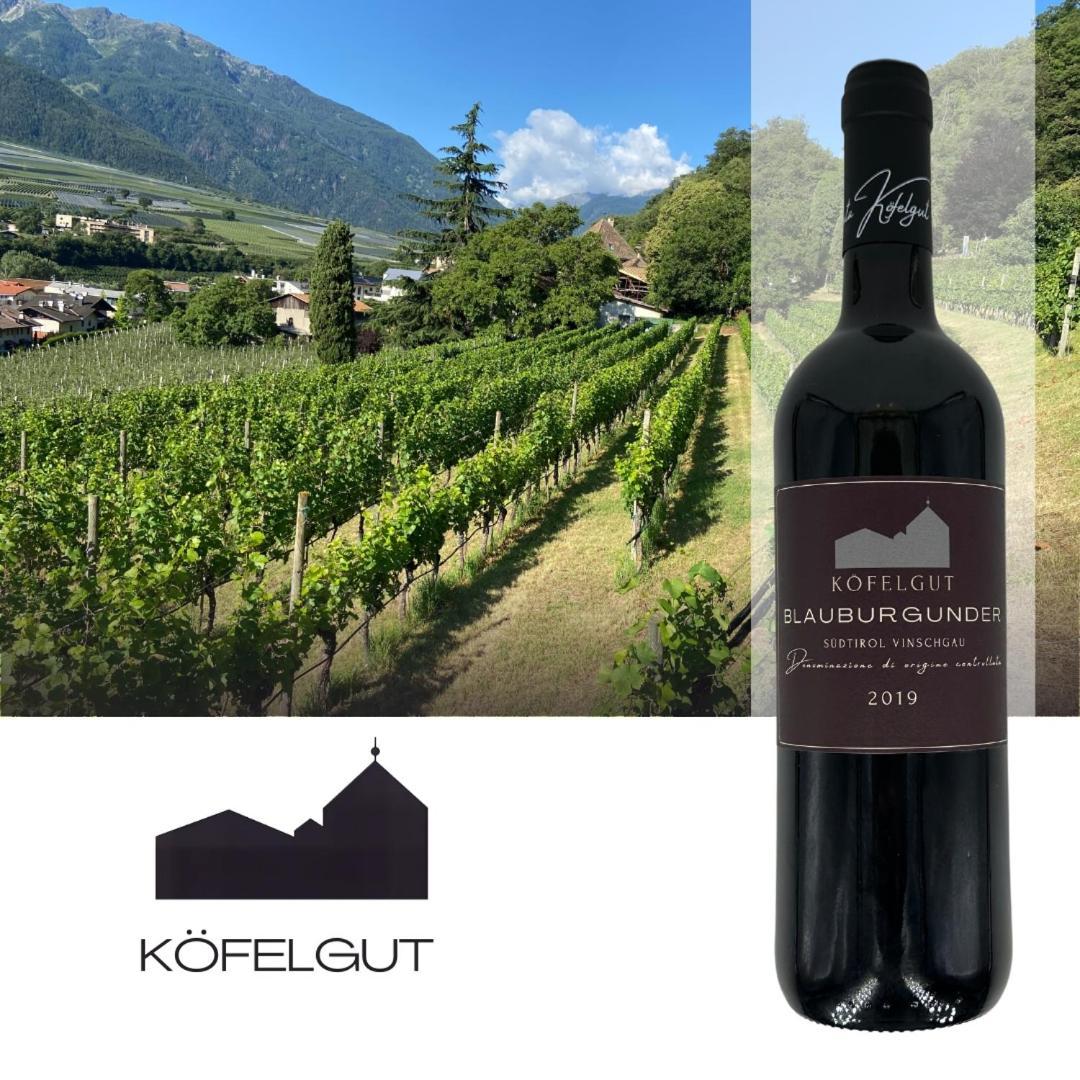 Weingut Koefelgut - Turris Vini Lejlighed Castelbello Eksteriør billede